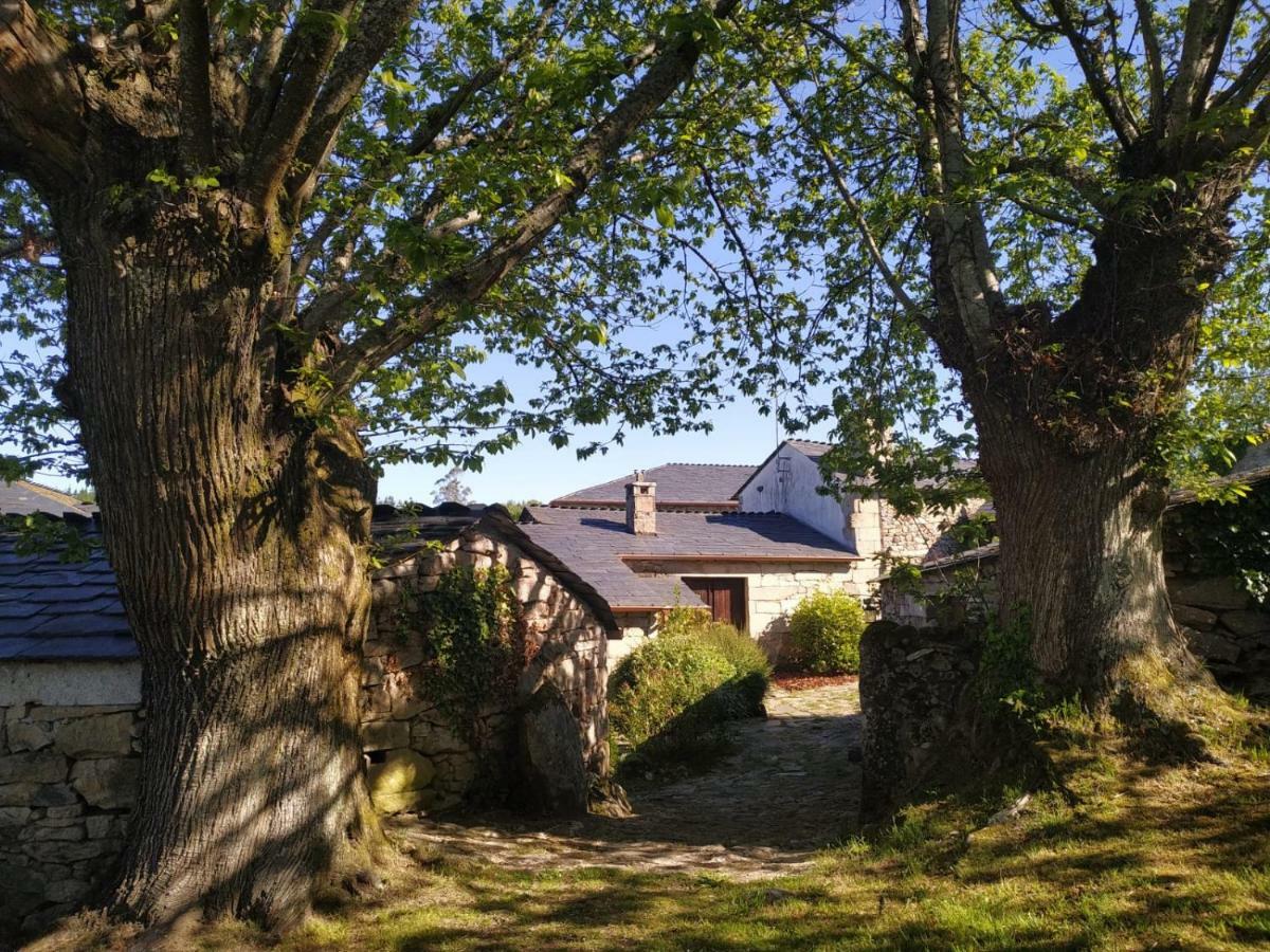 Casa Roan Y Casa Grande Guest House Lodoso Exterior photo